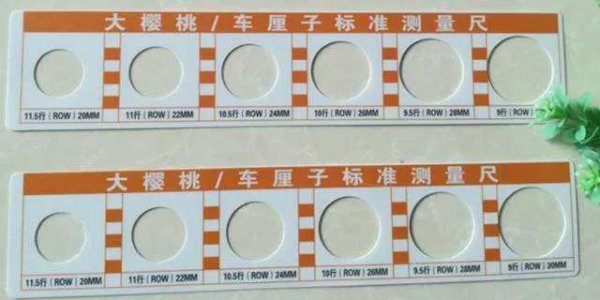 单j车厘子和双j车厘子的区别