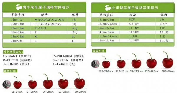 单j车厘子和双j车厘子的区别