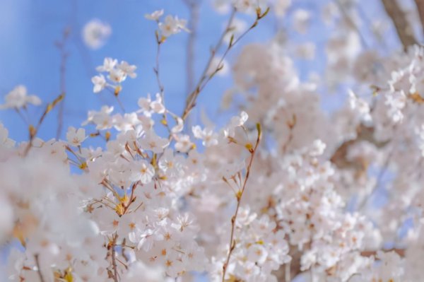 天蝎男真正放手的表现