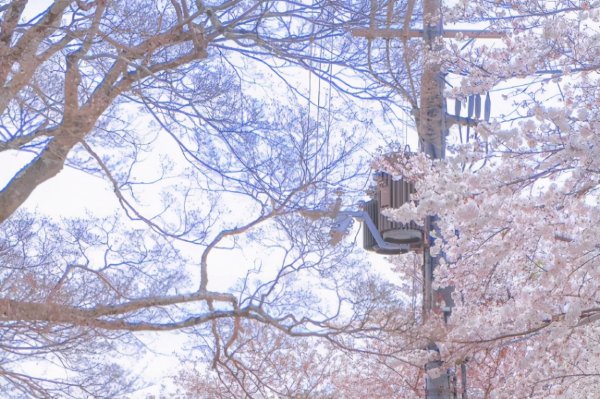 天蝎男真正放手的表现