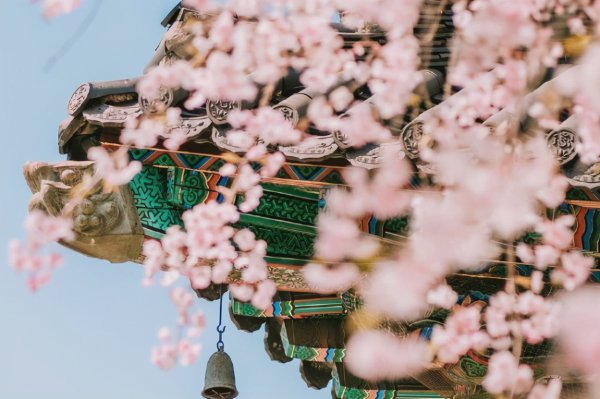 天蝎男真正放手的表现