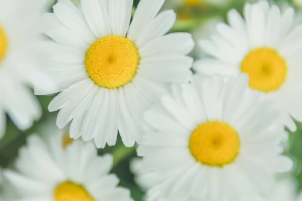 天蝎男真正放手的表现