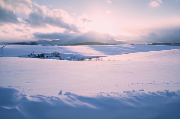 天蝎男真正放手的表现