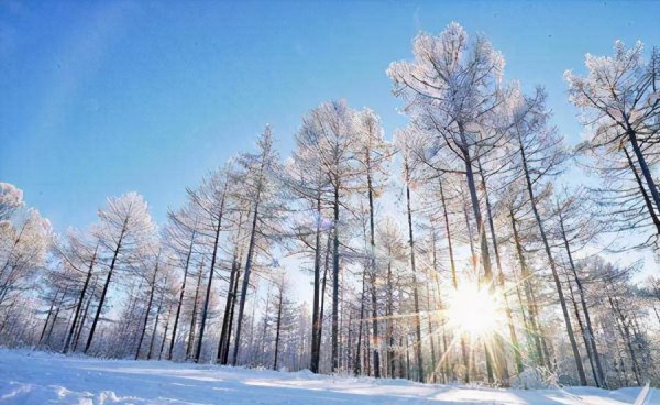 漠河极光几月份去看最好