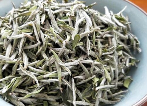 白茶是属于红茶还是属于绿茶
