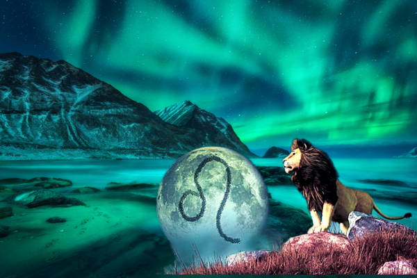 关于狮子座的预言