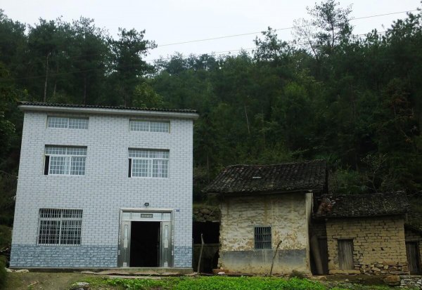 农村申请宅基地需要什么条件