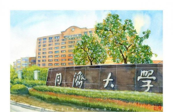 上海同济大学什么档次