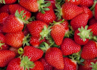 红颜和章姬哪个品种好 章姬草莓和红颜哪个产量高好吃