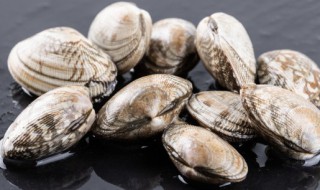 花蛤吃哪个部位不能吃 花蛤的哪个位置是不可以吃的