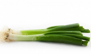 大葱要怎么保存才不会烂 大葱保存不会烂的方法介绍