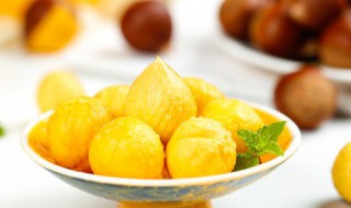 毛栗子是热性还是凉性 毛栗子属于热性还是凉性的食物呢