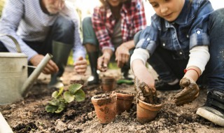 山上放什么植物招财 山上放哪些植物招财