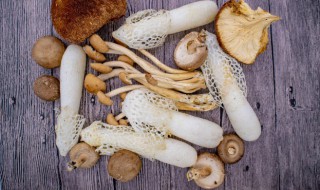 新鲜竹荪的正确吃法 新鲜竹荪裙煲西洋菜山药