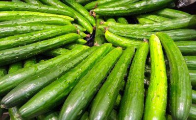 黄瓜保存方法有几种 怎么保存保存才最正确更新鲜