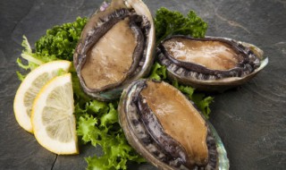 新鲜鲍鱼水煮多久才熟啊 吃鲍鱼的好处有哪些