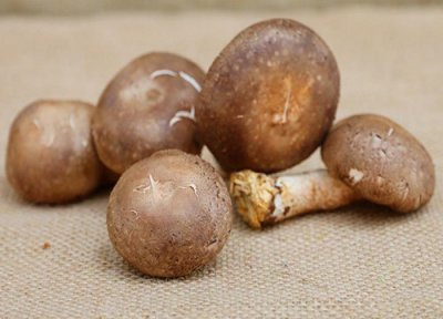 鲜香菇可以直接冷冻保存吗 香菇能放冰箱冻起来再食用吗