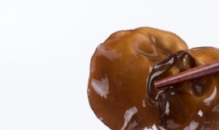 人工地木耳的种植方法 人工地木耳如何种