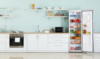 家用冰柜挑选方法 如何选购冰柜