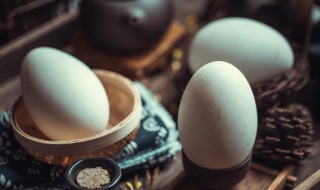 如何挑选新鲜鹅蛋 怎样挑选新鲜鹅蛋