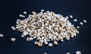 薏仁可以直接泡水喝吗 薏仁泡水饮用有什么功效