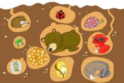 冬天都有哪些动物过冬 15种冬天需要冬眠的动物盘点