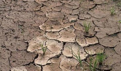 菜地土壤板结如何快速改良问题 蔬菜园土壤如何松土