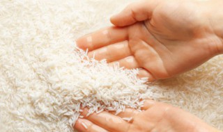 怎么辨别米的好坏 辨别米好坏的方法介绍