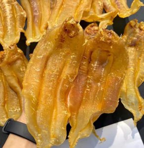 鱼胶怎么保存比较好 春夏储存鱼胶时间长的技巧分享