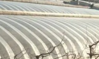 自己制作种植大棚方法 如何自己制作种植大棚