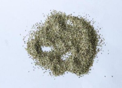 小雏菊种子栽种步骤 小雏菊种子怎么种植方法