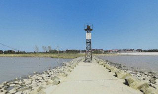 崇明游玩景点有哪些 崇明有什么好玩的旅游景点