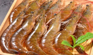 虾如何临时保鲜储存时间长 虾怎样临时保鲜储存时间长