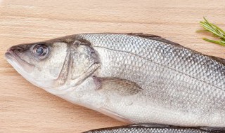 哪种清蒸的鱼好吃又营养 什么鱼清蒸好吃又营养