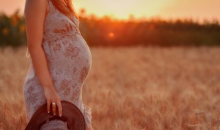 孕妇平血吃什么食物最好补 孕期如果营养补充不足可以采用什么补充