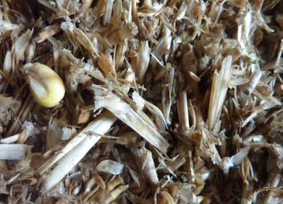 小麦壳做肥料 小麦壳可以做肥料吗