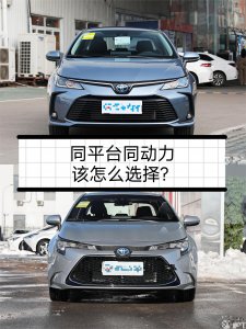 丰田卡罗拉和雷凌哪个好一点 哪款车口碑好更值得买