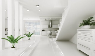 冬天室内好养的花 冬天室内有哪些好养的花