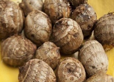 芋头发芽了可以吃吗 芋头发芽还能不能吃了