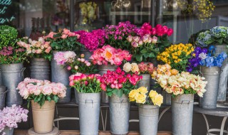 新店开业需要准备什么 新店开业要做什么准备