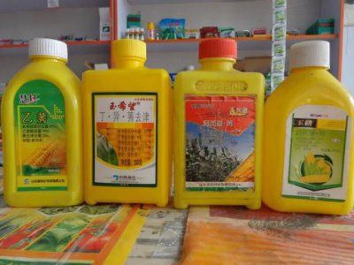 玉米除草剂加尿素能增加药效吗 除草剂能与尿素一起用吗