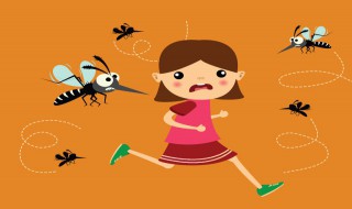 驱蚊手环和驱蚊贴哪个更有用 驱蚊手环和驱蚊贴哪个更好