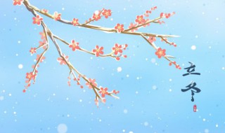 立秋暖心文案 立冬暖心文案短句