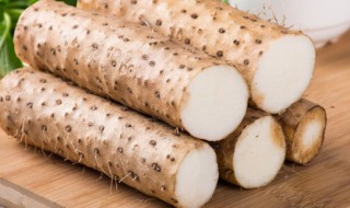 山药阳台种植方法 山药阳台怎么种植