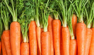 梦见拨萝卜预示什么 梦见拨萝卜预示啥