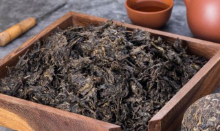 黑茶金花是什么菌 黑茶里的金花是什么菌