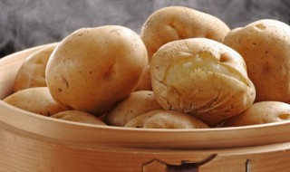 土豆啥时候几月份种 土豆什么月份种植合适