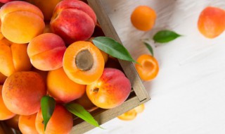 过年什么时候摆水果 过年适合摆水果的时间