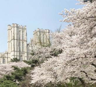 去庆熙大学留学条件 韩国庆熙大学研究生申请条件和费用