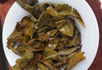 绿叶红镶边是什么茶叶的特点 乌龙茶的统一原始特征